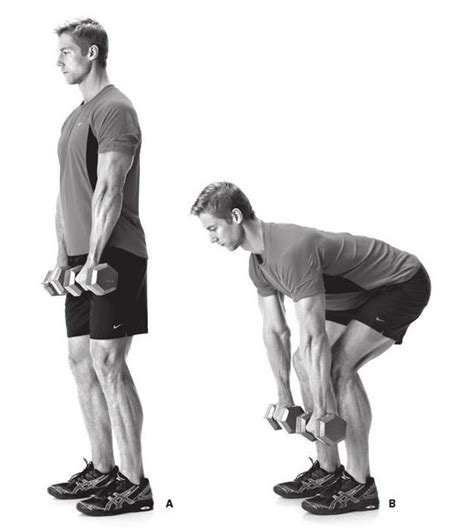 This is the ONLY way you should be doing stiff legged deadlifts. They are a great exercise to build your legs and activate your glutes, but make sure you are...